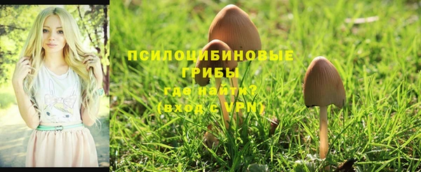 прущие крисы Вязьма