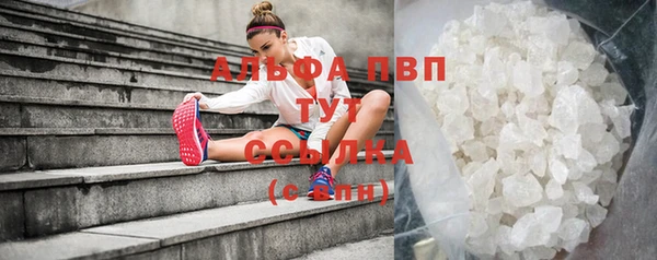 прущие крисы Вязьма