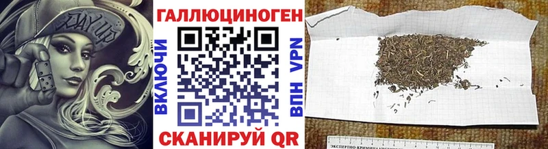 Галлюциногенные грибы Cubensis  Купить где  Пересвет 